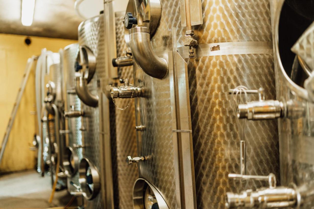 Großklein Winzerhof Strableggヴィラ エクステリア 写真
