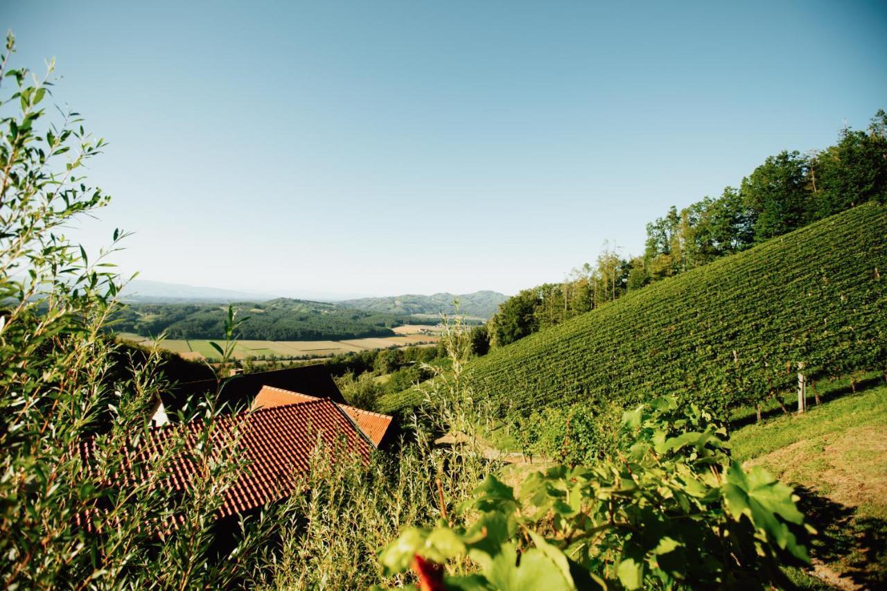 Großklein Winzerhof Strableggヴィラ エクステリア 写真