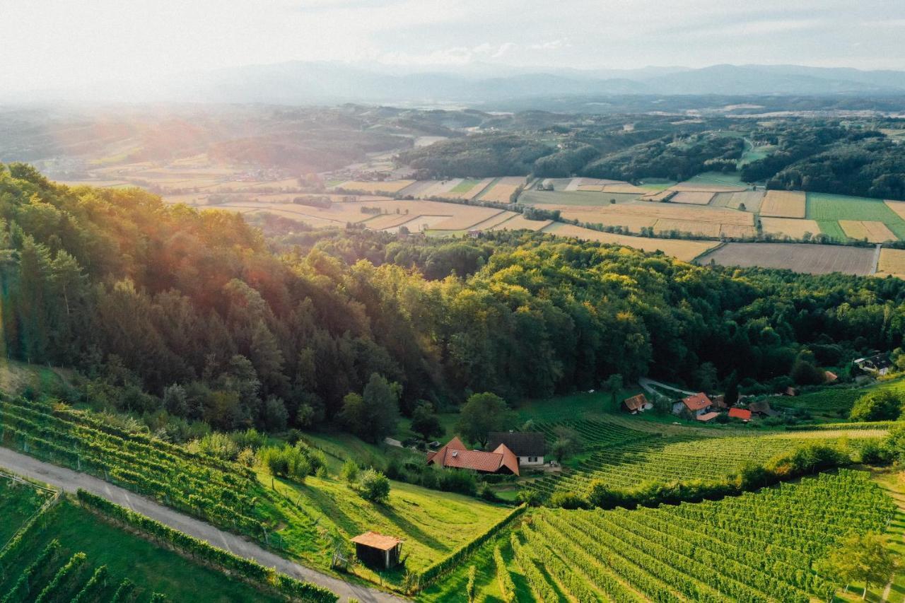Großklein Winzerhof Strableggヴィラ エクステリア 写真
