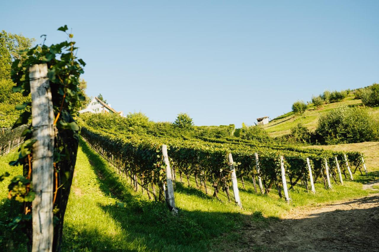 Großklein Winzerhof Strableggヴィラ エクステリア 写真