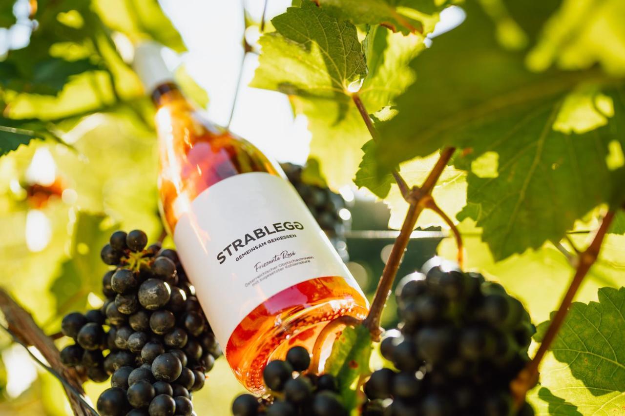 Großklein Winzerhof Strableggヴィラ エクステリア 写真