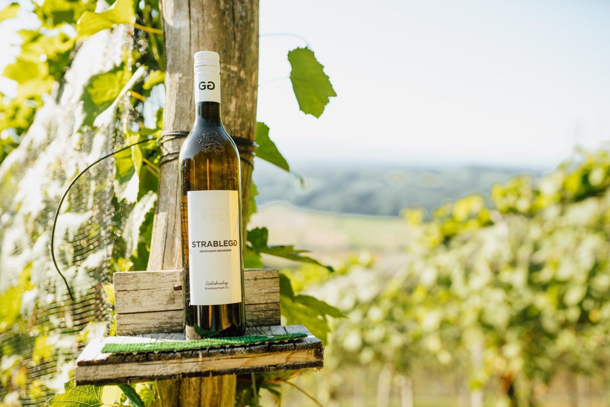 Großklein Winzerhof Strableggヴィラ エクステリア 写真